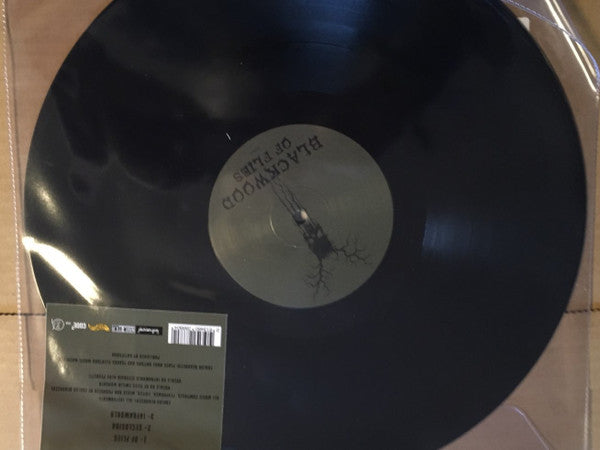 BLACKWOOD Of Flies Subsound Records Single Sided Etched LP (No Number) Brand New
