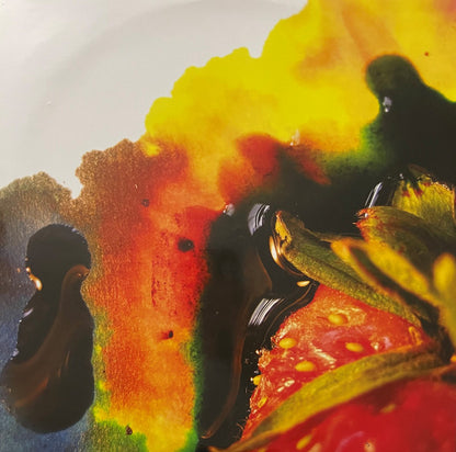 ANIMAL COLLECTIVE Strawberry Jam Domino Records Dbl LP DNO156 Brand New & Sealed